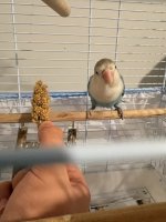 IMG_3267.jpeg