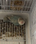 IMG_3274.jpeg