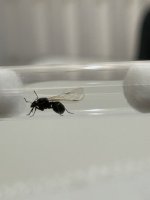 IMG_9812.jpeg