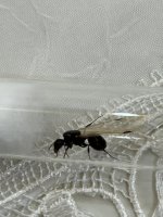 IMG_9811.jpeg