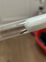 IMG_9809.jpeg