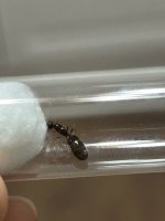 IMG_9806.jpeg