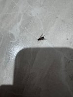 e9c51923-29b4-4ee6-9238-faa0a2d9fb79.jpeg