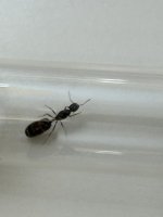 IMG_9832.jpeg