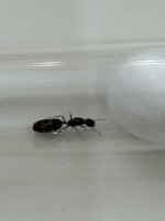 IMG_9829.jpeg