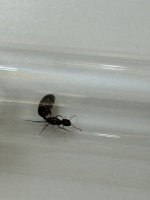 IMG_9828.jpeg