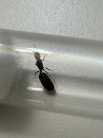 IMG_9827.jpeg