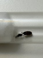 IMG_9826.jpeg