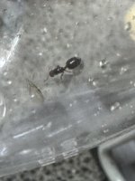 IMG_4379.jpeg