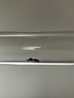 IMG_6396.jpeg