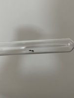 IMG_6393.jpeg