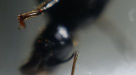 CM261015-190904030.jpg