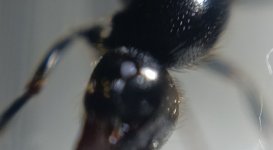CM261015-190903029.jpg