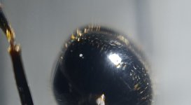 CM261015-190858028.jpg