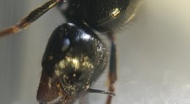 CM261015-190809018.jpg