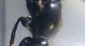 CM261015-190801016.jpg