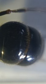 CM261015-190744013.jpg
