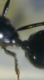 CM261015-190742012.jpg