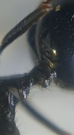 CM261015-190718011.jpg