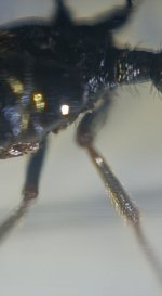 CM261015-190643008.jpg