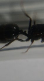 CM261015-185900005.jpg