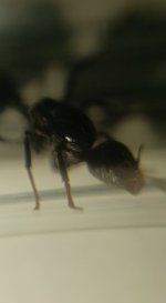 CM261015-185850003.jpg