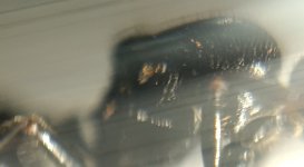 CM261015-185429021.jpg