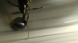 CM261015-185350015.jpg