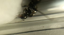 CM261015-185329014.jpg
