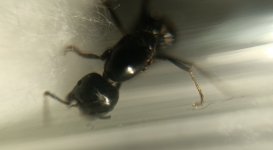 CM261015-185319013.jpg