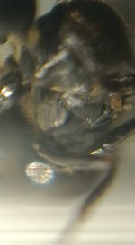 CM261015-185256012.jpg