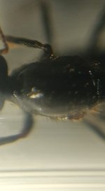 CM261015-185250011.jpg
