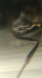 CM261015-185238010.jpg