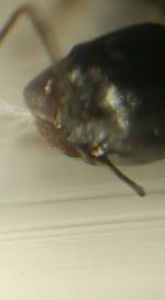 CM261015-185226008.jpg