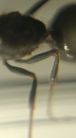 CM261015-185210006.jpg