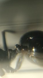 CM261015-185158004.jpg