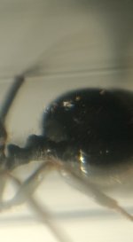 CM261015-185203005.jpg