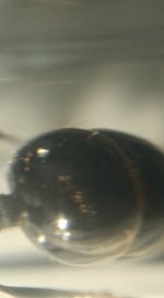 CM261015-185148002.jpg