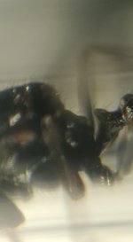 CM261015-185156003.jpg