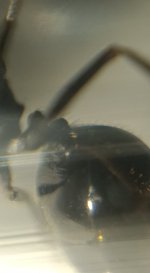 CM261015-184812012.jpg