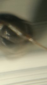 CM261015-185136001.jpg