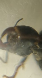CM261015-184753009.jpg