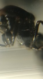 CM261015-184809011.jpg