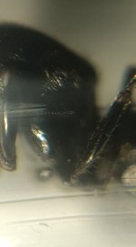 CM261015-184748007.jpg