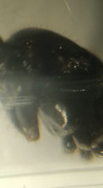CM261015-184751008.jpg