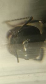 CM261015-184634003.jpg
