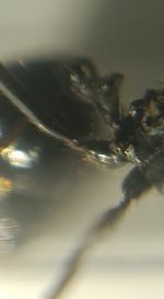 CM261015-184732006.jpg
