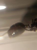 IMG_20261015_184012.jpg
