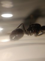 IMG_20261015_184007.jpg
