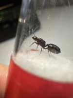 IMG_1287.jpeg